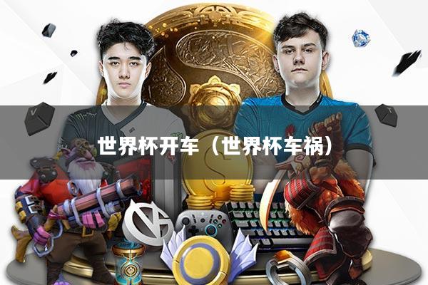 世界杯开车（世界杯车祸）