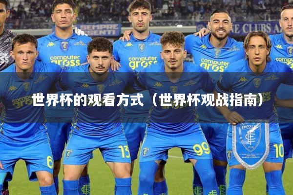 世界杯的观看方式（世界杯观战指南）