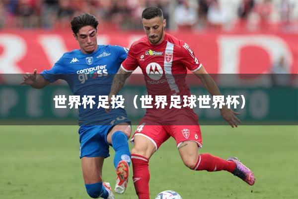世界杯足投(世界足球世界杯)