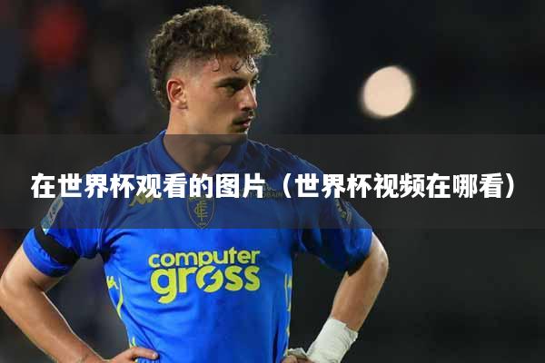 在世界杯观看的图片（世界杯视频在哪看）