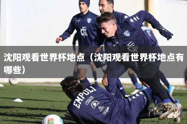 沈阳观看世界杯地点（沈阳观看世界杯地点有哪些）