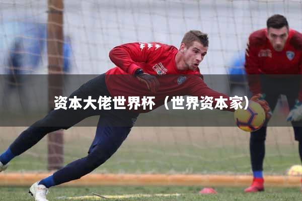 资本大佬世界杯(世界资本家)