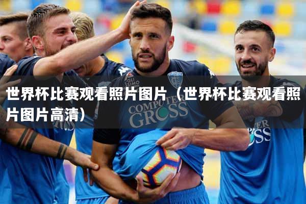 世界杯比赛观看照片图片(世界杯比赛观看照片图片高清)
