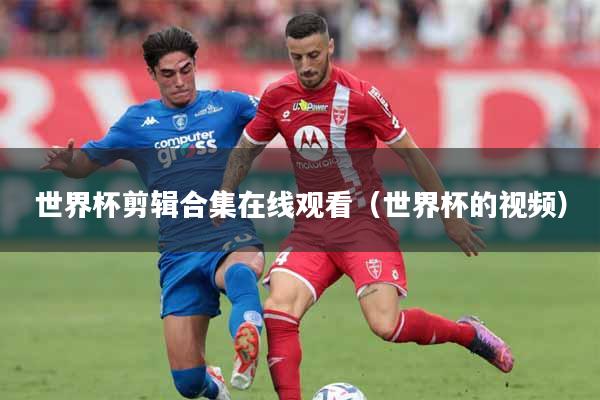 世界杯剪辑合集在线观看（世界杯的视频）