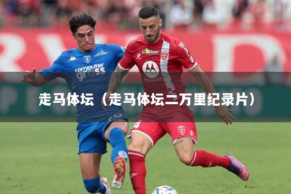 走马体坛（走马体坛二万里纪录片）