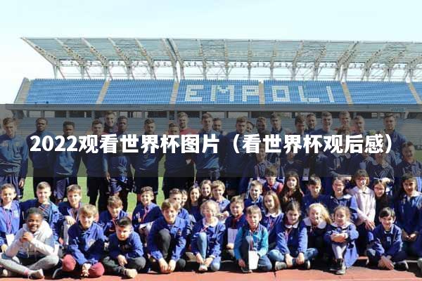 2022观看世界杯图片（看世界杯观后感）