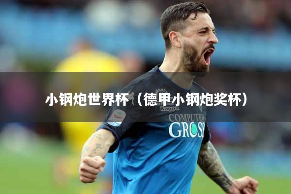 小钢炮世界杯（德甲小钢炮奖杯）