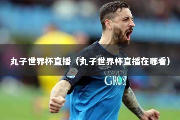 丸子世界杯直播（丸子世界杯直播在哪看）