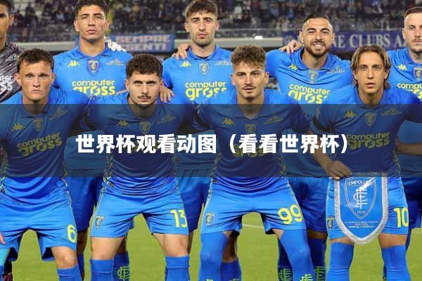 世界杯观看动图（看看世界杯）