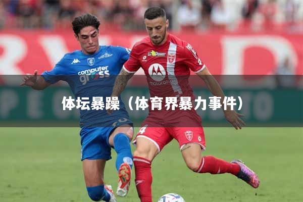 体坛暴躁（体育界暴力事件）